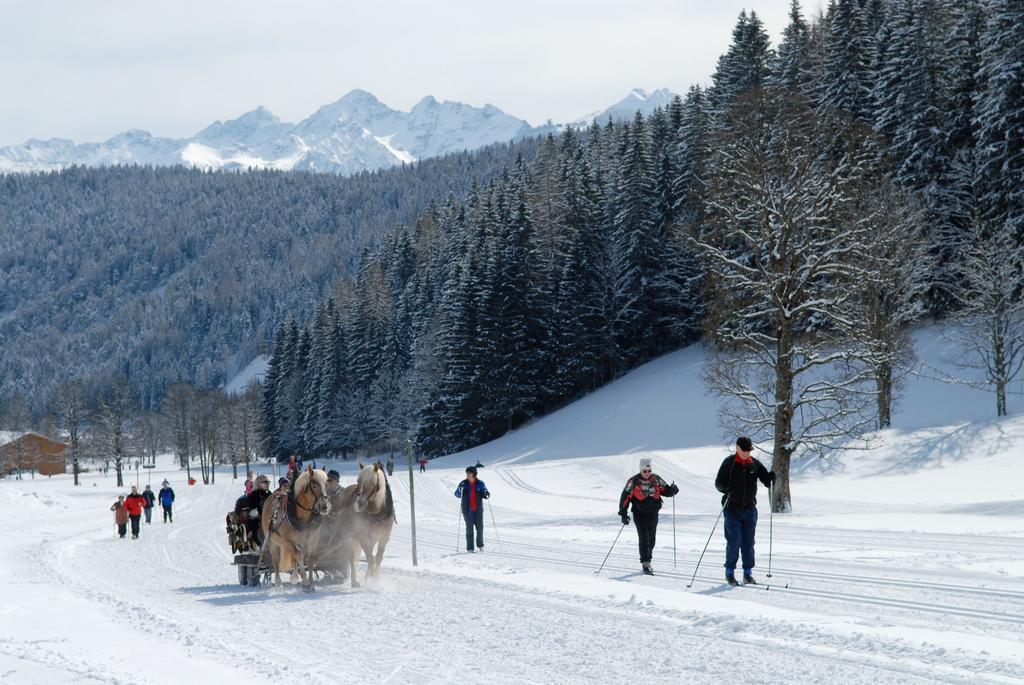 Fruehstueckspension Gsenger Ramsau am Dachstein Εξωτερικό φωτογραφία